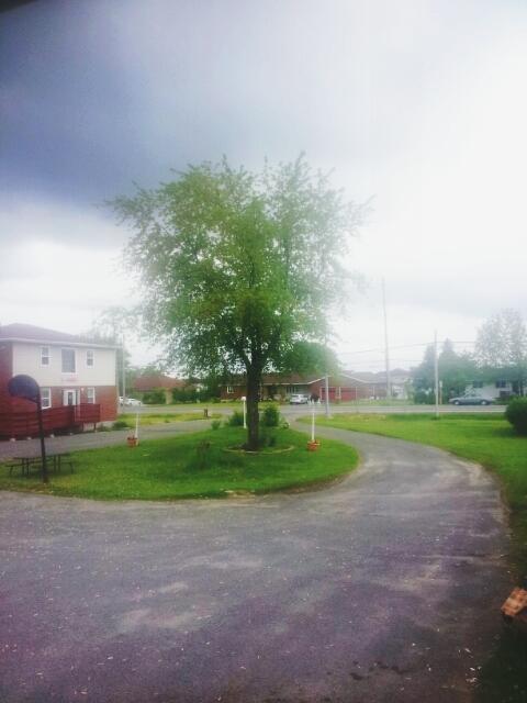Welcome Traveller Motel Kingston Eksteriør bilde